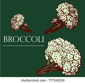 broccoli , vector illustration on green background, vegetables,hand drawing