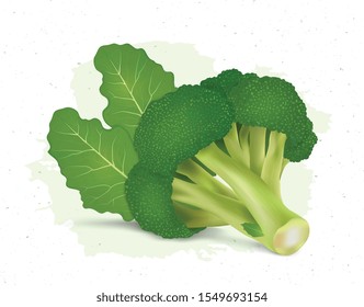 broccoli vector illustration on white background with broccoli leave