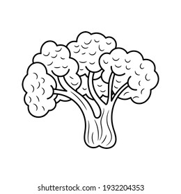 Broccoli vector illustration, simple hand drawn vegetable Line Icon 