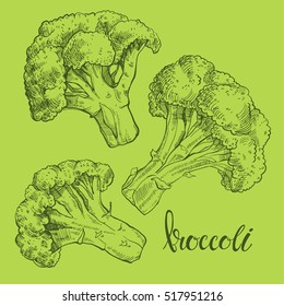 Broccoli. Vector illustration, sketch on a green background. Isolated vector hand-drawn elements for your design.