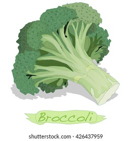Broccoli vector isolated on white background