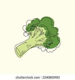 Broccoli Vector Line Art Illustration of Isolated View on Green Background. Vegetarian  Asian Winter Food.