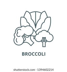 Broccoli vector line icon, linear concept, outline sign, symbol