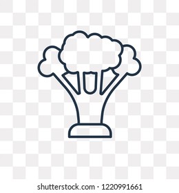 Broccoli vector outline icon isolated on transparent background, high quality linear Broccoli transparency concept can be used web and mobile