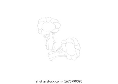 Broccoli Vector Outline Illustration Of Vegetable