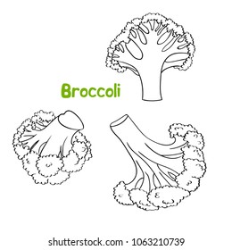 Broccoli. Vector set of hand drawn graphic illustrations for print, textile, wallpaper, posters.