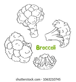 Broccoli. Vector set of hand drawn graphic illustrations for print, textile, wallpaper, posters.