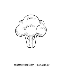 Broccoli vector sketch icon isolated on background. Hand drawn Broccoli icon. Broccoli sketch icon for infographic, website or app.