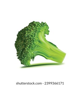 Broccoli vector. Wonderful antioxidant. Beautiful Broccoli. Broccoli in mesh technique. Vector illustration.