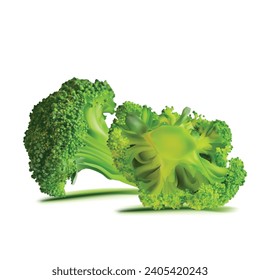 Broccoli vector. Wonderful antioxidant. Beautiful Broccoli. Broccoli in mesh technique. Vector illustration.