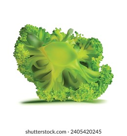 Broccoli vector. Wonderful antioxidant. Beautiful Broccoli. Broccoli in mesh technique. Vector illustration.