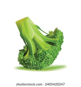 Broccoli vector. Wonderful antioxidant. Beautiful Broccoli. Broccoli in mesh technique. Vector illustration.