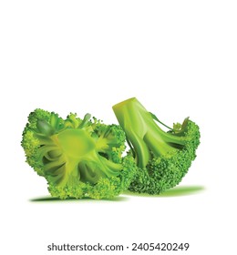 Broccoli vector. Wonderful antioxidant. Beautiful Broccoli. Broccoli in mesh technique. Vector illustration.