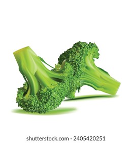 Broccoli vector. Wonderful antioxidant. Beautiful Broccoli. Broccoli in mesh technique. Vector illustration.