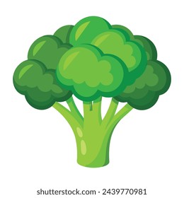 
Broccoli Vegetable flat vector illustration