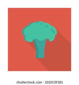 broccoli vegetable food 