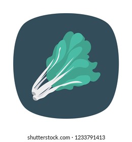 broccoli   vegetable   food 