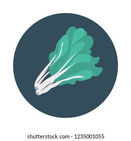 broccoli   vegetable   food 