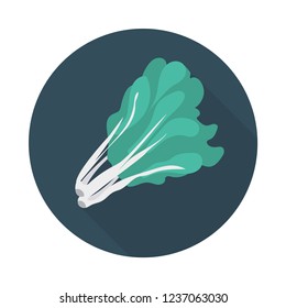 broccoli   vegetable   food 