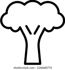 broccoli vegetable food  