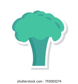 broccoli vegetable food 
