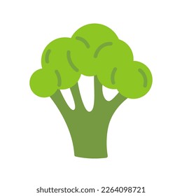 Broccoli vegetable fresh. Healthy food. Vector illustration isolated on white background.
