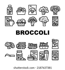 Broccoli Vegetable Green Food Icons Set Vector. Fresh Salad Cabbage, White, Brocolli Raw, Healthy Brocoli Diet, Cooking Top Organic Broccoli Vegetable Green Food Black Contour Illustrations