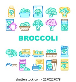 broccoli vegetable green food icons set vector. fresh salad cabbage, white, brocolli raw, healthy brocoli diet, cooking top organic broccoli vegetable green food color line illustrations