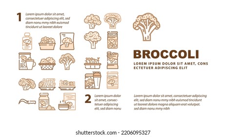 broccoli vegetable green food landing web page header vector. fresh salad cabbage, white, brocolli raw, healthy brocoli diet, cooking top organic broccoli vegetable green food Illustration