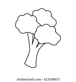 broccoli vegetable icon