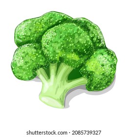 Broccoli vegetable icon in cartoon style. Vegetarian, organic food. Vector Illustration. 