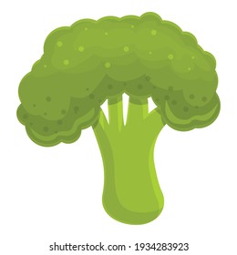 Broccoli vegetable icon. Cartoon of broccoli vegetable vector icon for web design isolated on white background