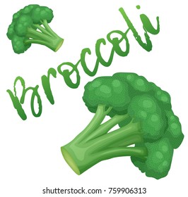 Broccoli vegetable icon. Cartoon vector illustration isolated on white background. Series of food and drink and ingredients for cooking