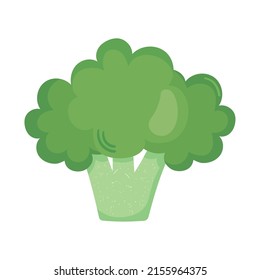 broccoli vegetable icon on white background