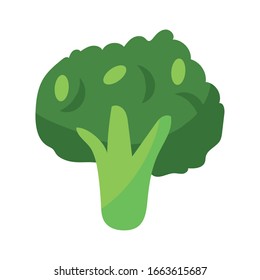 broccoli vegetable icon over white background, flat detail style, vector illustration
