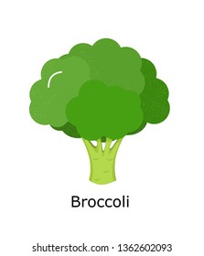 Broccoli Vegetable icon vector illustration  isolated on white background.