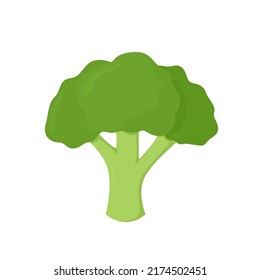 Broccoli vegetable icon. Vector illustration of fresh and healthy food.