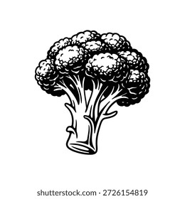  Brócolis ilustração vegetal, preto e branco linha arte Ícone de comida saudável