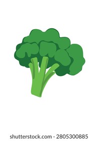 broccoli vegetable illustration fresh healthy food concept