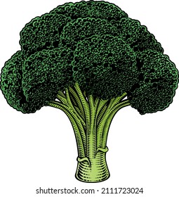 Broccoli vegetable illustration in a vintage retro woodcut etching style.