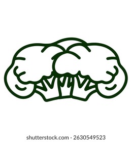 broccoli vegetable image icon vector illustration design
