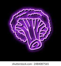 broccoli vegetable neon light sign vector. broccoli vegetable sign. isolated symbol illustration