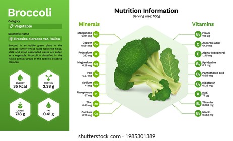 Broccoli vegetable and its nutritional properties- Vector illustration