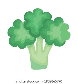 broccoli vegetable on white background