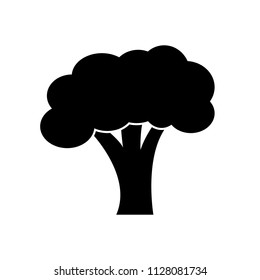Broccoli vegetable vector icon