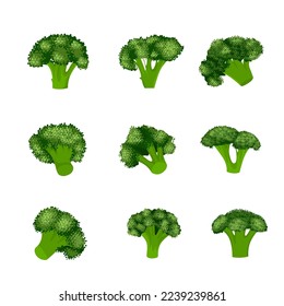 Broccoli GemüseVektorgrafik einzeln auf weißem Hintergrund