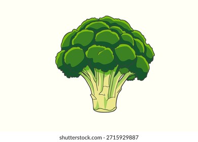 Ilustración vectorial vegetal del brócoli aislada en fondo transparente