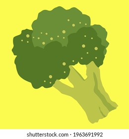 Broccoli Vegetable Vector, Perfect for logo, icon, illustration, background, pattern, Etc