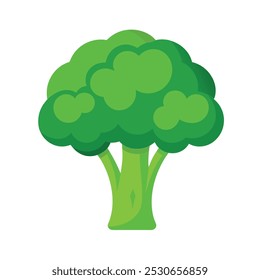 Broccoli Vegetable Vectors Color Image 