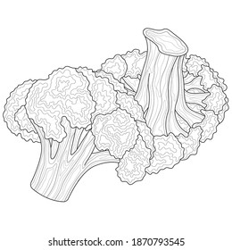 Broccoli Vegetables. Coloring book antistress for children and adults. Zen-tangle style.Black and white drawing